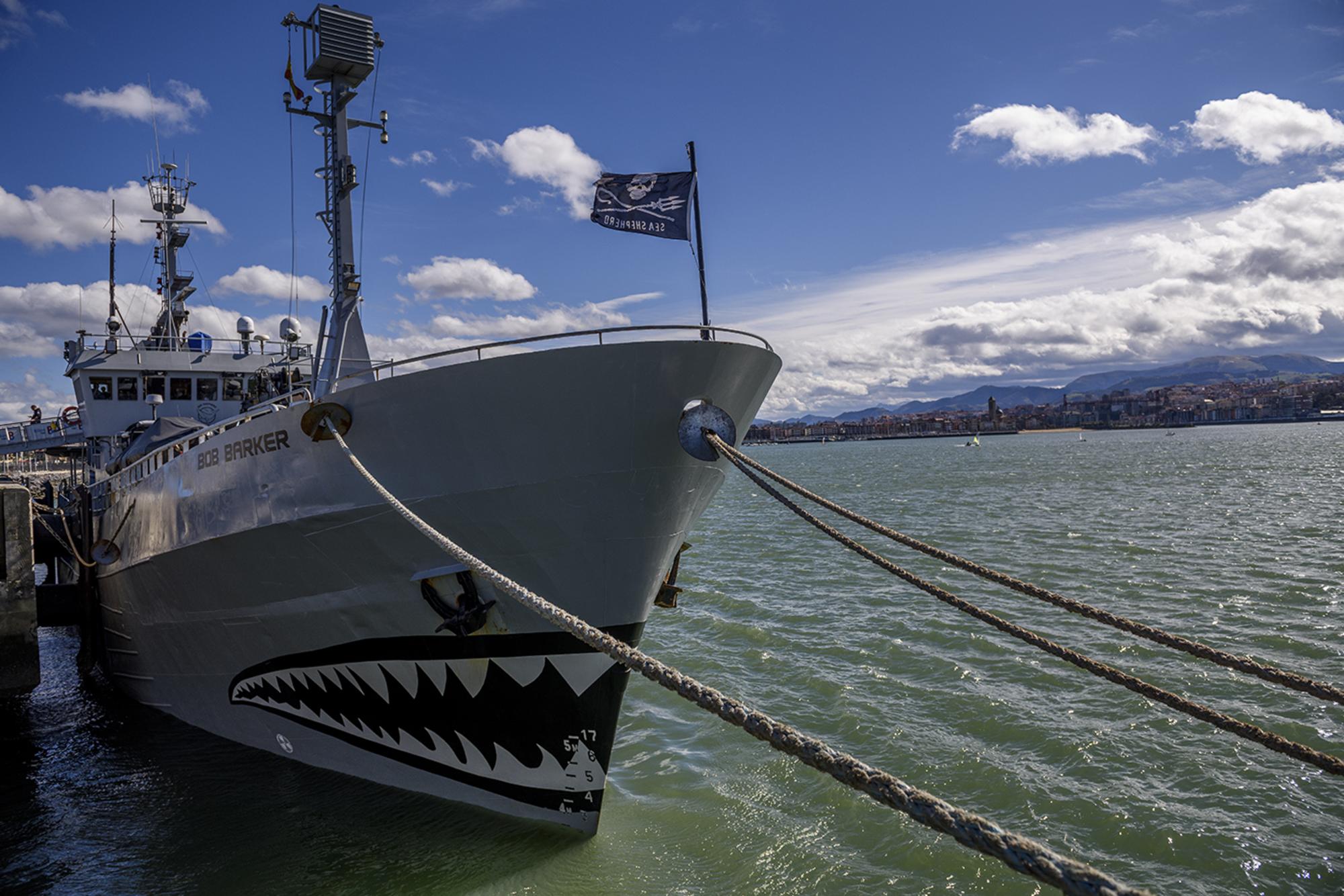 Sea_Shepherd_Bandera